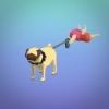 ˳(Doggo Run)v1.2 ׿