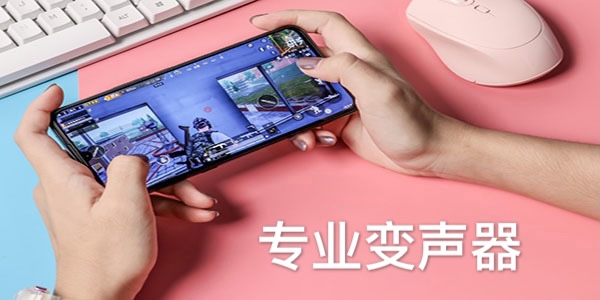 专业变声器