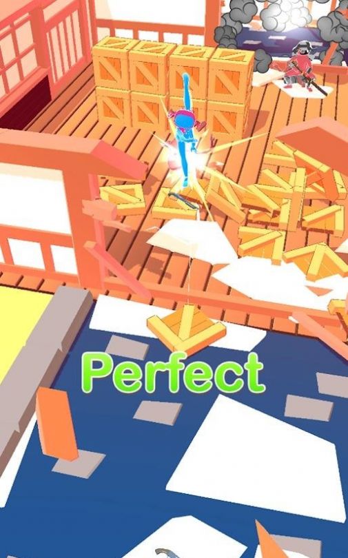 Perfect Ninjav0.1 °