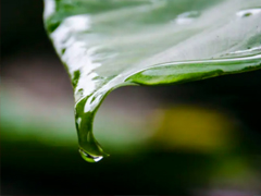 梅雨季家里很潮的说说 关于梅雨季节的朋友圈短句