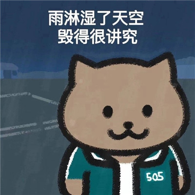 周杰伦歌词猫猫表情包可爱 雨淋湿了天空毁的很讲究