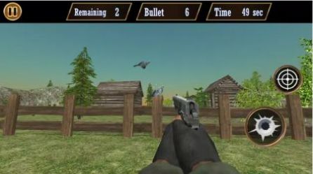 (Pigeon Shoot)v1.1.9 ׿