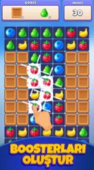 (Berry Match)v1.0.3 ׿