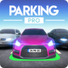 רҵͣParking Prov0.3.3 ׿