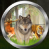 ɭԴʦJungle Animals Hunting Real Shooting Game