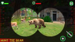 ɭԴʦJungle Animals Hunting Real Shooting Gamev1.2 İ