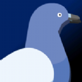 ϮPigeon Attackv0.2 ׿