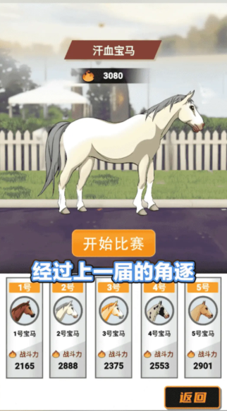 金牌驯马师游戏v1.0.1 最新版