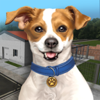 动物收容所游戏(Animal Shelter Simulator)v1.00 安卓版