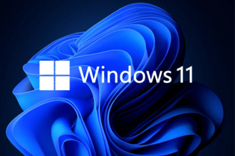 win11΢ôڴ棿win11΢