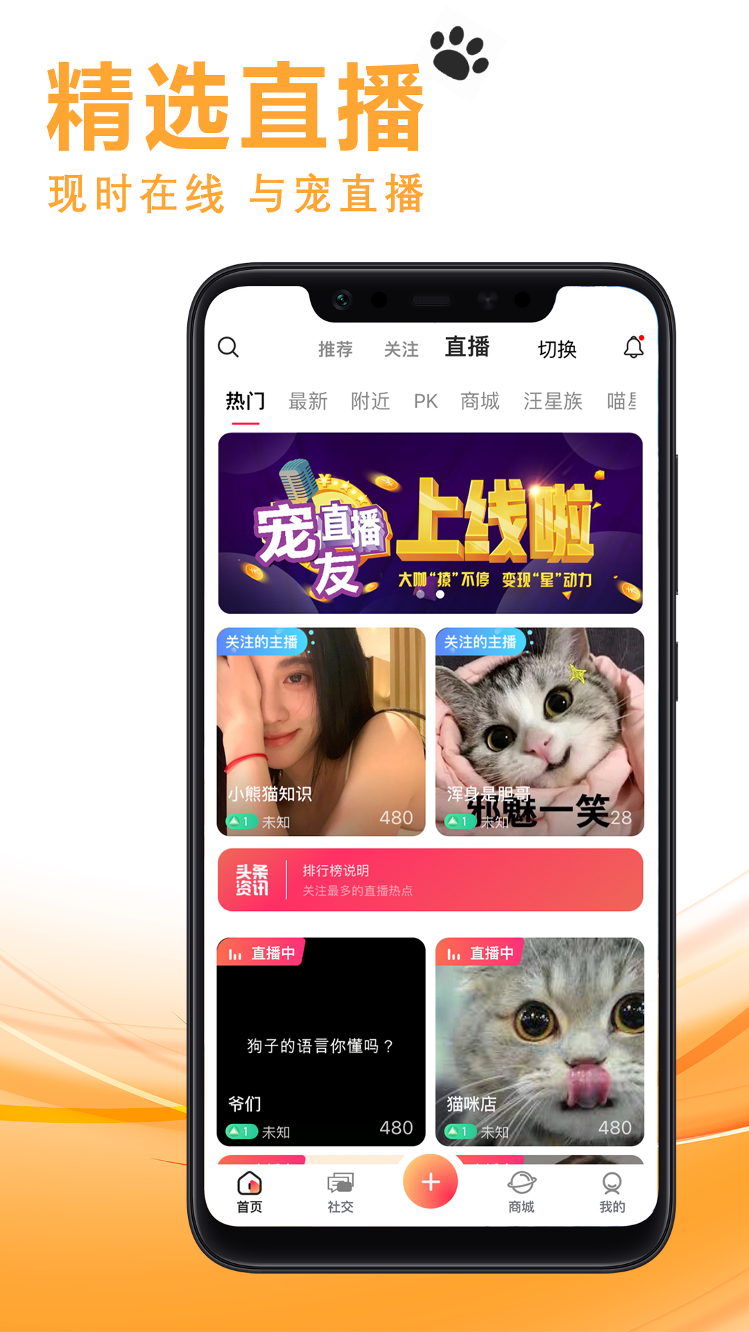 宠友社交appv1.1.1 最新版