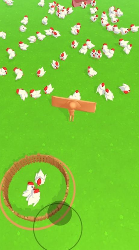 追寻小鸡Chicken Chaserv1.0.0 安卓版