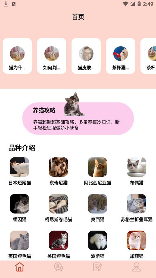 摸摸小猫appv1.1 最新版