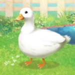 ѼDuckv1.2 ׿