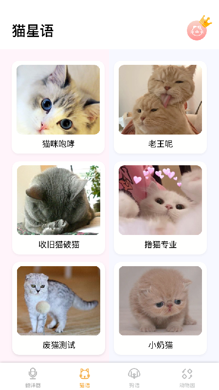 猫语翻译大师v1.0.2 安卓版