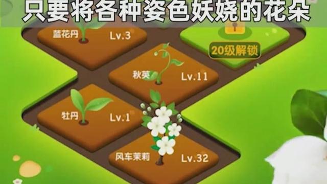 幸运花园天降红包v1.0 赚钱版