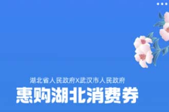 2022湖北消费券发放平台有哪些 湖北消费券发放几次