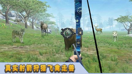 射箭达人v1.0.1 安卓版