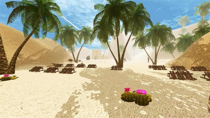 ɳĮʿս(DesertHawks)v3.47 ׿