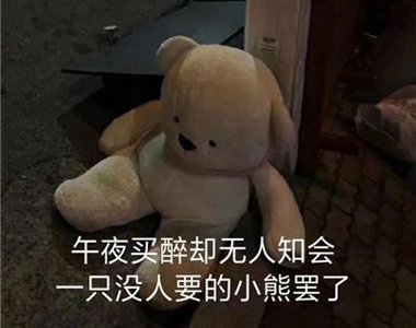 很有意思的聊天表情笑死人 一只没人要的小熊罢了