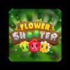 Flower Shooterv1.4.1 İ