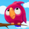 ɫColor Bird Sortv1.0.3 °