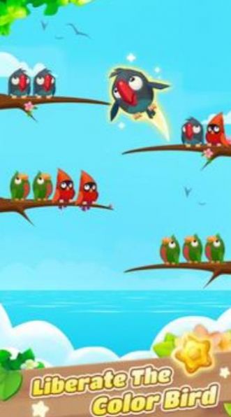 ɫColor Bird Sortv1.0.3 °