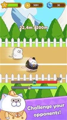 猫咪奔跑凯蒂冲刺Cat Run Kitty Rushv0.0.8 最新版