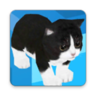 小猫无限楼梯(Kitten Infinite Stair)v1.4 安卓版