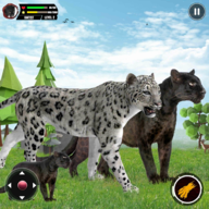 ʵڱģ(Wild Panther Simulator Games)v1.1 ׿