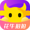 ţappv1.0.8 °