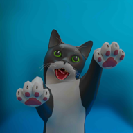 搞笑猫3D(Funny Cat 3D)v2.0 安卓版