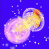 ħ(Magic Multiverse Rush)v0.6.6 ׿