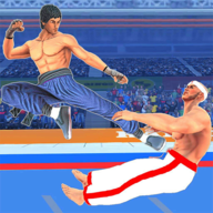 功夫空手道格斗(Tag Team Kung Fu Karate Fight)v1.1 安卓版