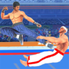 ֵ(Tag Team Kung Fu Karate Fight)v1.1 ׿