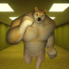 ģ