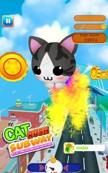 Cat Rush Subway My Pet Endless Run Dash Adventurev3.0 安卓版