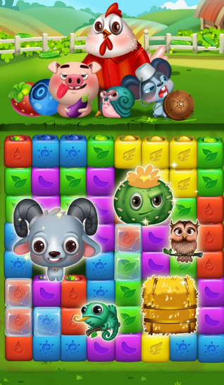 Ȥˮ(Fruit Funny Blocks)