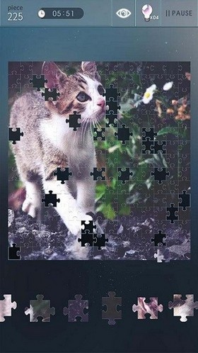 ƴͼϷ(Jigsaw puzzle world)v 2019.01.27׿