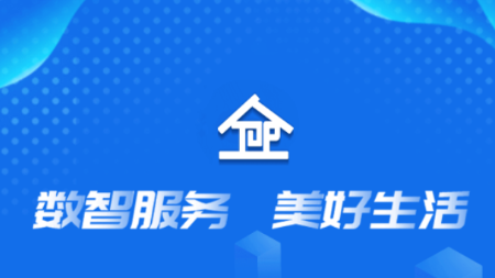 数智易正app