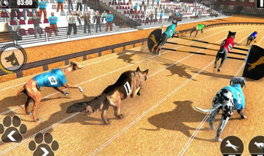 Dog Racing Championship