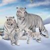 Ұ׻ͥģWild Tiger Simulator Family Simv1.9 ׿