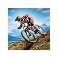 自行车特技Bicycle Stuntsv3.7 安卓版