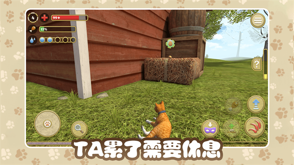 猫咪农场v1.0.0.2 安卓版