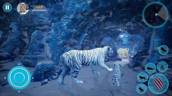 Ұ׻ͥģWild White Tiger Family Simv1.0 İ