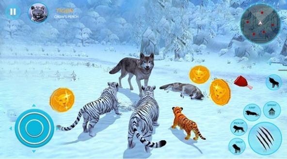 Ұ׻ͥģWild White Tiger Family Simv1.0 İ