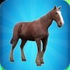 ҵģMy Horse Simulator