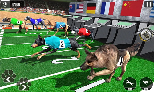 Dog Racing Championshipv1.1 ׿