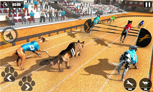 Dog Racing Championshipv1.1 ׿