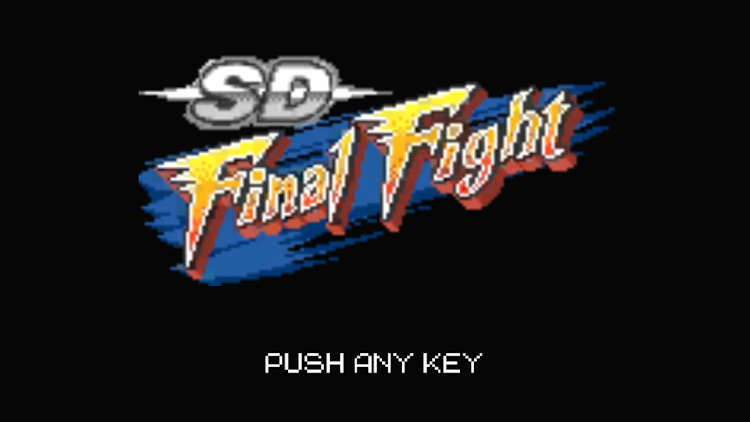 sdһս(SDFinalFight)v1.2.5 ׿